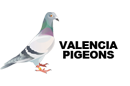Valencia Pigeons